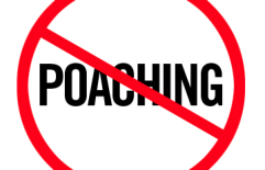 Athlete Poaching: Should You Be Worried?
